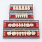 Teeth Set