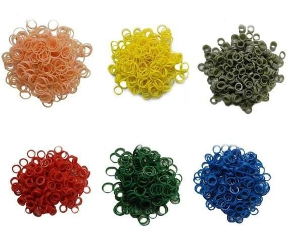 Elastics